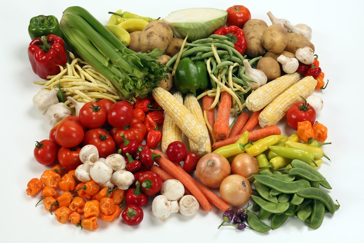 Professional dietician consulting with client
